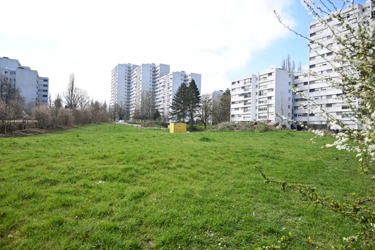 COTEAUX-EspaceVERT1120250328CatherineKOHLER.JPG