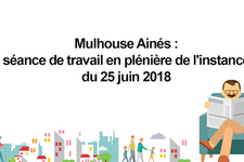 instance-mulhouse-aines-juin-2018.jpg